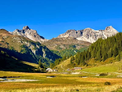 Bild 32 aus  Örgenhiasalm