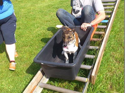 Bild 27 aus  Ferienhof Haselheide