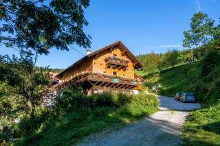 Almbauer aus Trattenbach