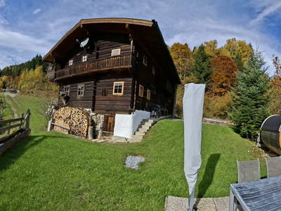 Bild 40 aus  Artlieb