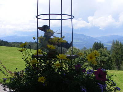 Bild 26 aus  Fötscherhof