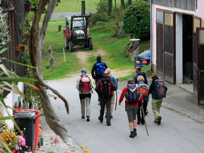 Bild 39 aus  Biohof Besenbäck