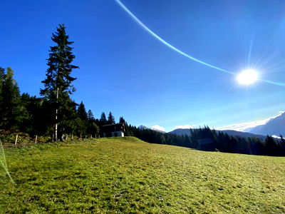 Bild 14 aus Almhütte - Bei der Gose