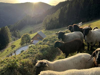 Bild 55 aus  Reiterbauer Chalet