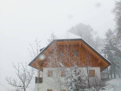 Bild 72 aus  Kreinzhuabn