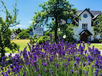 Bild 5 aus  Frankenwaldhof