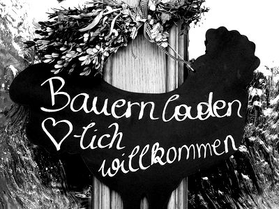 Bild 54 aus Arlitscherhof