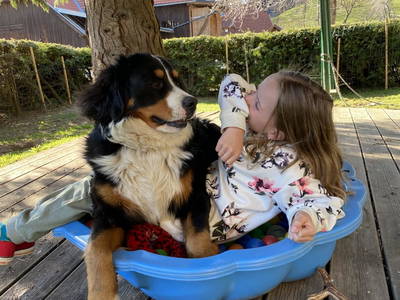 Bild 46 aus  Hoferhof