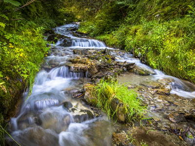 Bild 160 aus  Bio-Bauernhof Schweizerhof