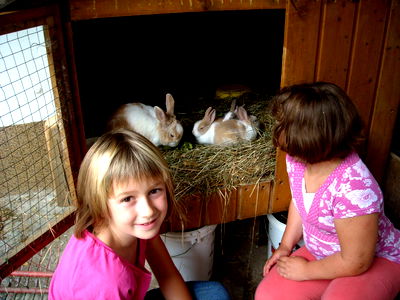Bild 55 aus Baby- und Kinderbauernhof Salmanner