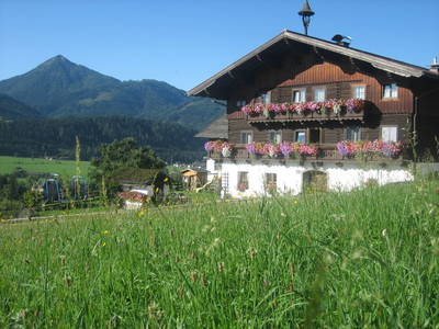 Bild 47 aus  Nöglhof