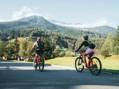 Bild 130 aus  Enzianhütte im Habachtal
