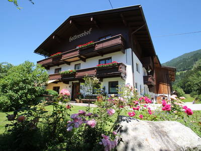 Bild 2 aus  Hottererhof