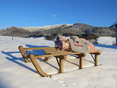 Bild 10 aus  „Hernis-Höfle“ Wohlfühlambiente im Elztal  5⭐️Sterneferien.