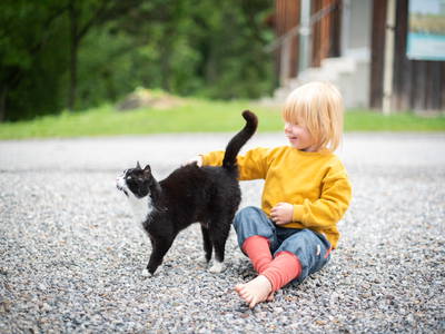 Bild 6 aus  LandSelection Landgut Moserhof