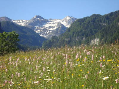 Bild 27 aus  Loitzhof