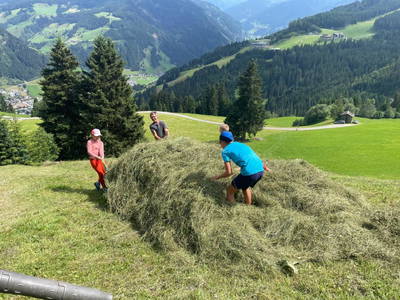 Bild 6 aus  Pfandlinghof