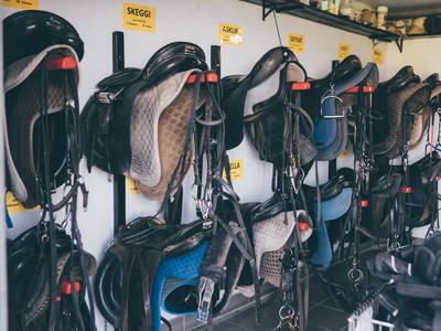 Bild 25 aus  Isländerhof Köck vlg. Kristanhof