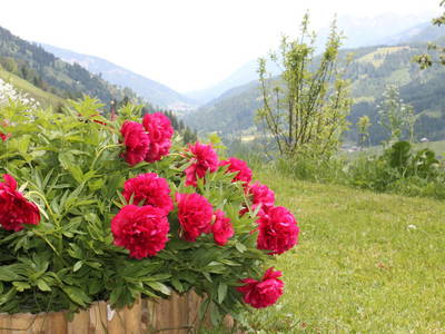 Bild 27 aus  Untererschbaum