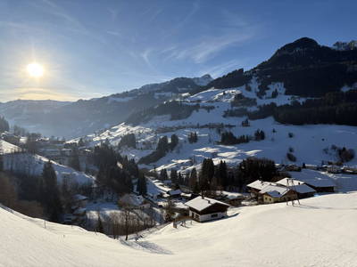 Bild 42 aus  Lambachhof