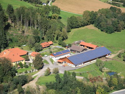 Bild 2 aus  Demeterhof Gut Kraindorf 