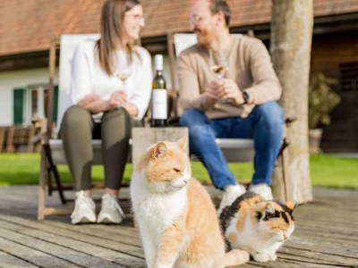 Bild 192 aus  Winzerhof Strablegg