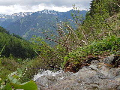 Bild 234 aus  Der Perweinhof