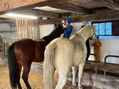 Bild 93 aus  Grossa Hütten