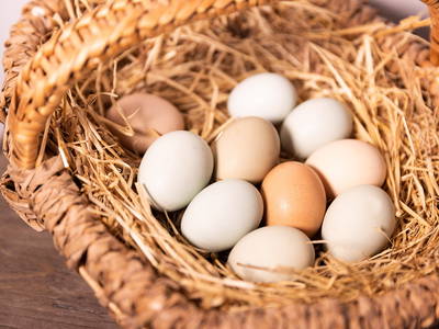 Bild 4 aus  Kirschhof am Bodensee