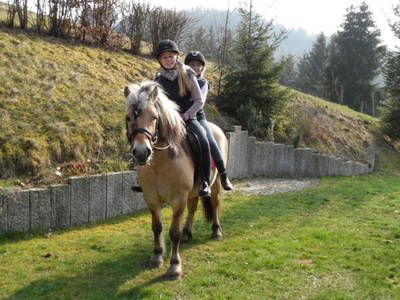 Bild 39 aus  Steffahof - Mitglied von LandSelection