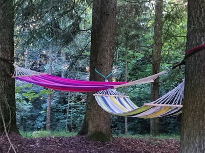 Bild 26 aus  Biohof Schmidbauer