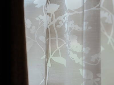 Bild 74 aus  Auer Hias am Wolfgangsee