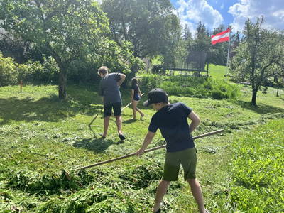 Bild 110 aus  Wittinghof