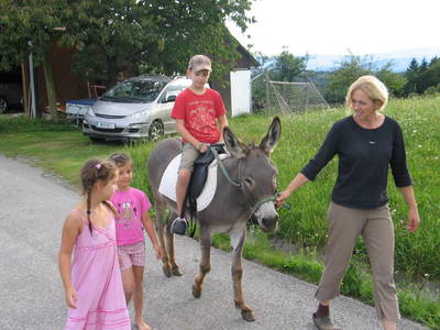 Bild 25 aus  Der Ofenmacherhof  Urlaub am Bauernhof