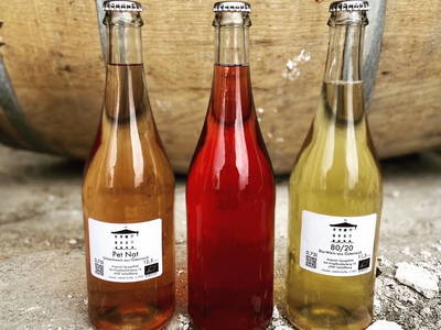 Bild 78 aus  Trattnachtaler Weinhaus