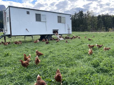 Bild 20 aus  Pechhof