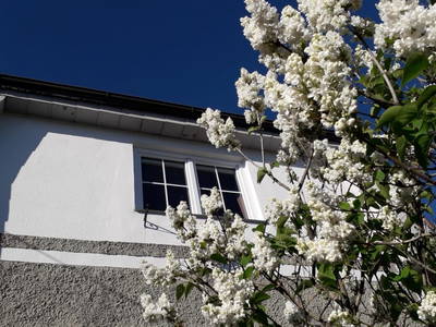 Bild 2 aus  Ferienhaus Ottenschlag