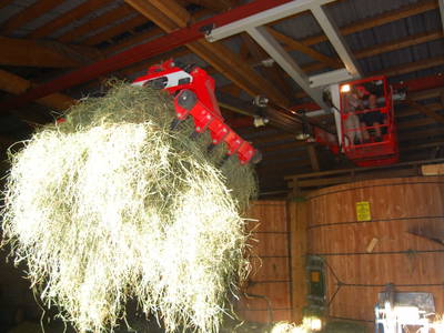 Bild 38 aus  Pfandlinghof