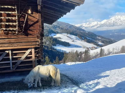 Bild 145 aus  Floachhof