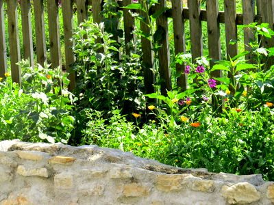 Bild 55 aus Arlitscherhof