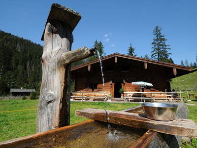 Bild 7 aus  Plenkhof