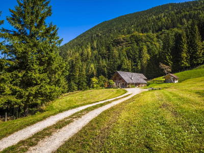 Bild 46 aus  Grögernalm