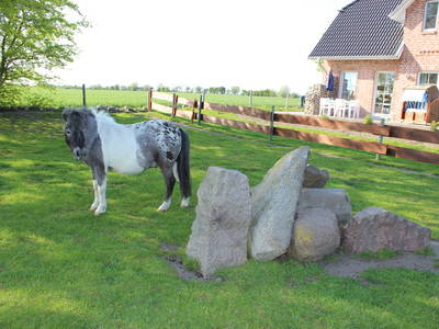 Bild 5 aus  Bauernhof Höper-Rauert