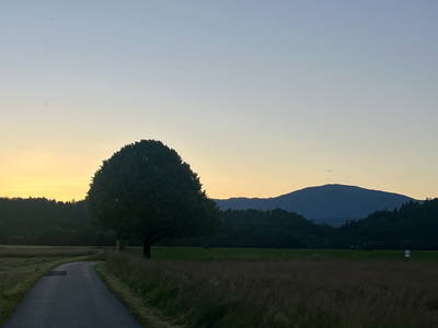 Bild 64 aus  Beim Leben