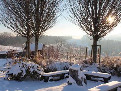 Bild 53 aus  Brandl Obstbauernhof 