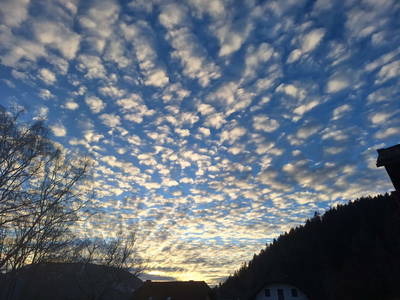 Bild 16 aus Naturpark Bauernhof Sperl