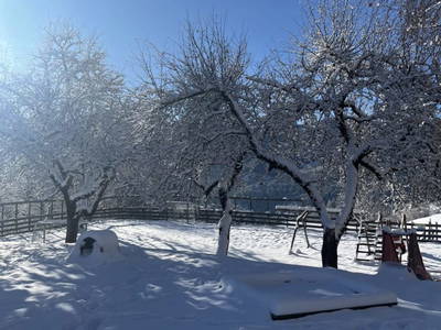 Bild 64 aus  Lahnerhof