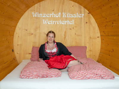 Bild 338 aus  Winzerhof Küssler, Weinviertel