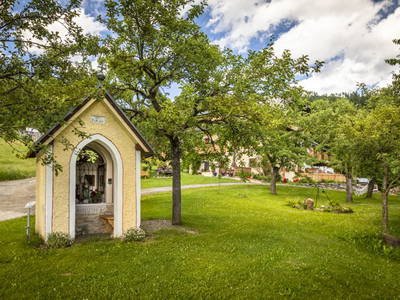 Bild 17 aus  Schobergut