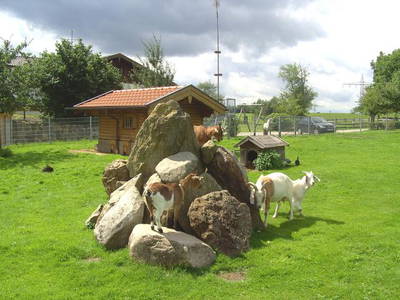 Bild 15 aus  Wimmerhof